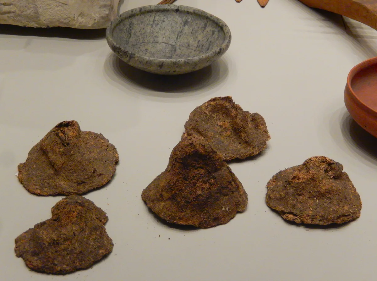 Pani conici antichi ritrovati a Gebelein, V dinastia egizia, circa 2400 a.C.